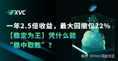 一年2.5倍收益，最大回撤仅22%：【稳定为王】凭什么能稳中取胜
