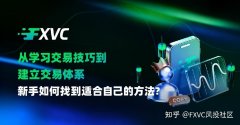 从学习交易技巧到建立交易体系：新手如何找到适合自己的方法?